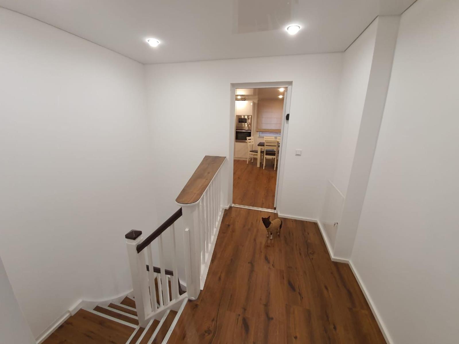Handwerkerwohnung - Monteurunterkunft Crumstadt المظهر الخارجي الصورة